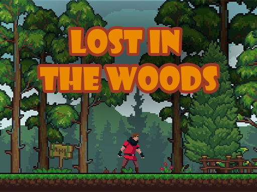 Lost In The Woods